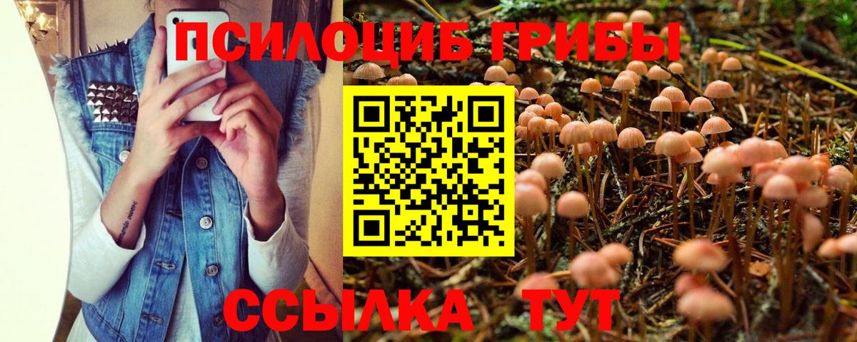 Псилоцибиновые грибы мухоморы  Галлюциногенные грибы MAGIC MUSHROOMS  Дятьково  Вход с VPN 
