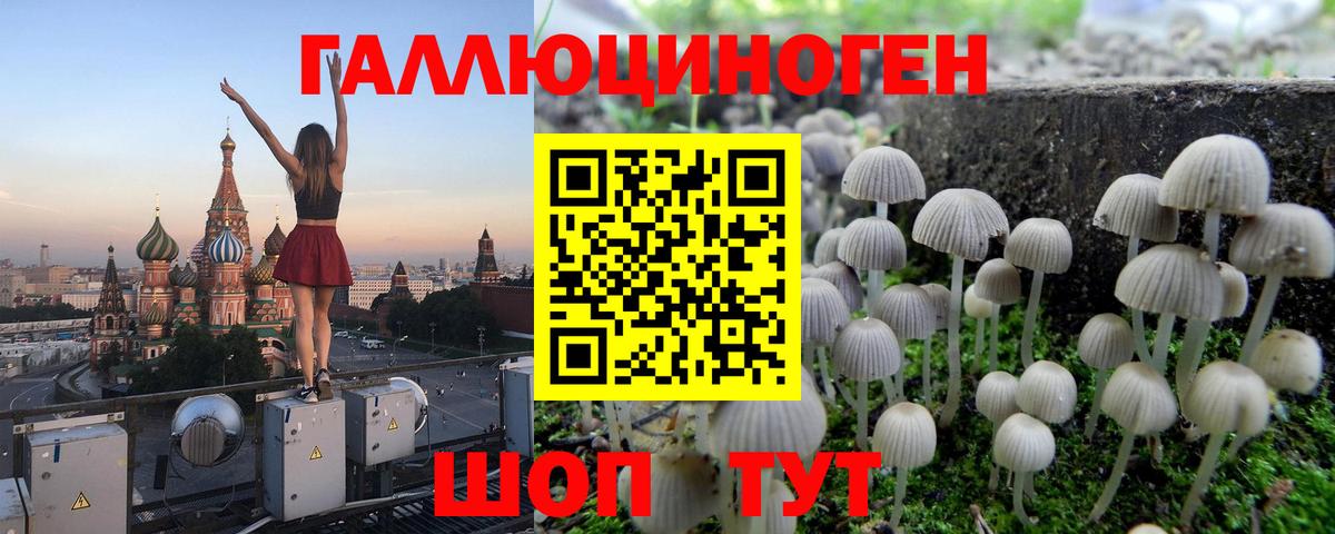 Псилоцибиновые грибы Cubensis Дятьково